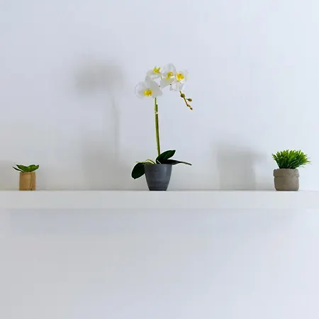 Appartement Amber *